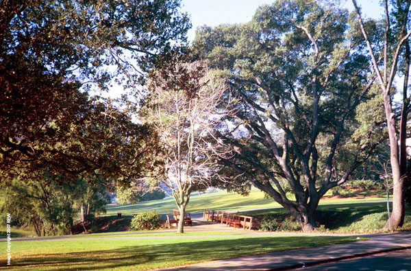 Sunday_Morning_West_Campus