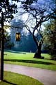 Faculty_Glade