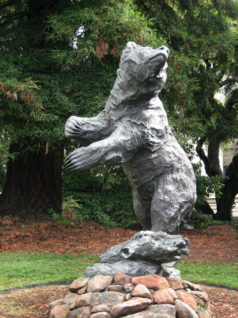 02-bear