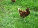 18aa-IMG_1186