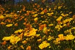 89_new_DSC_0234
