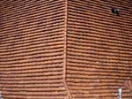 IMG_1961