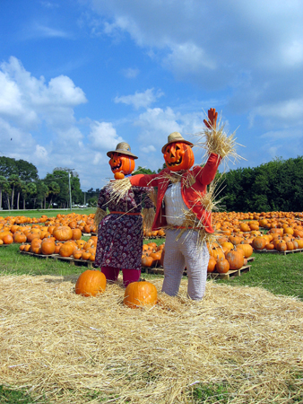 Scarecrows