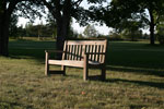 Bench