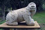 HI Lion