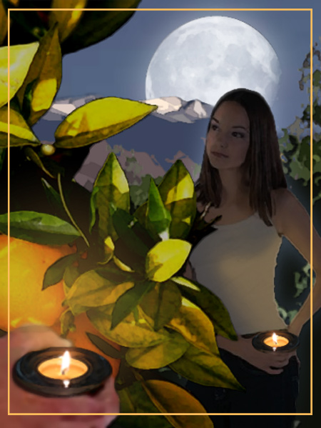 Candle Grove