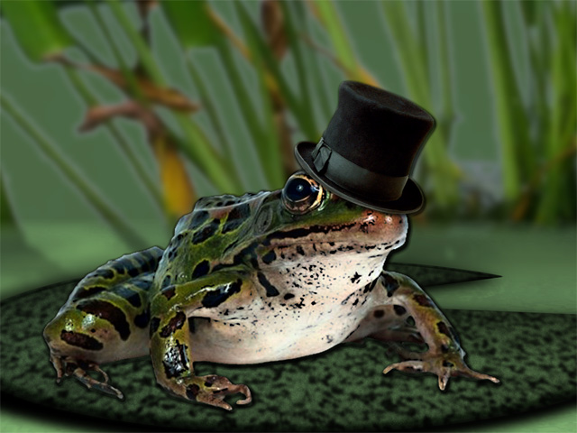 Frog