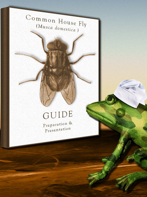 Frog Chef