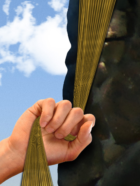 Rapunzel Quest