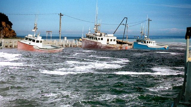 Boats afloat