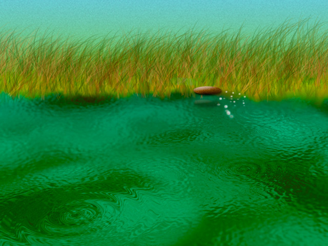 Skipping Rock