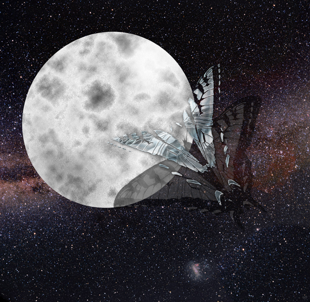 Moon & chrome butterfly