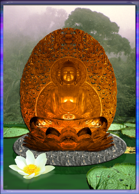 Bhudda & lotus pond