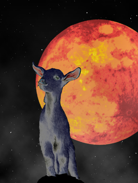 Demon goat & moon