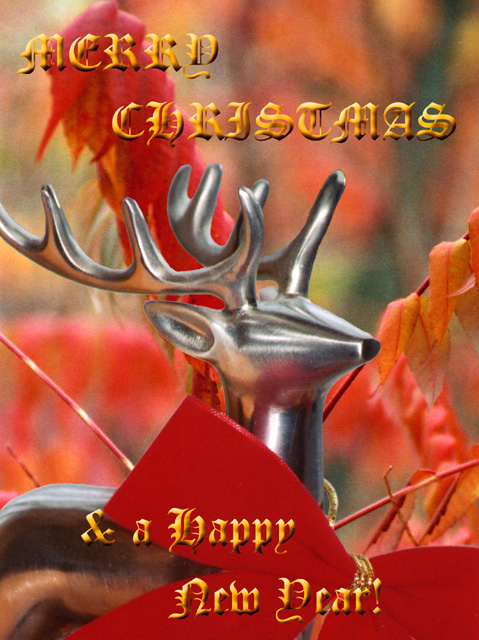 Reindeer card