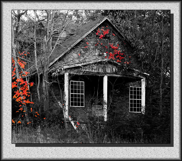 House with red leaves