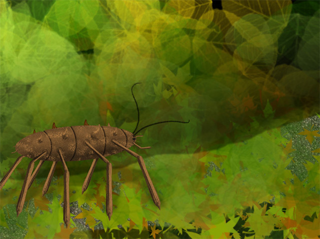 bug