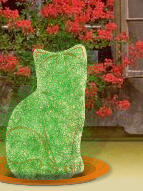 Chia Cat