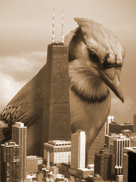 Jay Godzilla