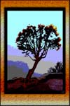 Maxfield Parrish tree