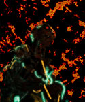 Robot Inferno