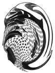 Picasso Twist