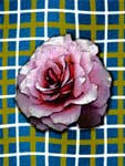 Plaid Rose