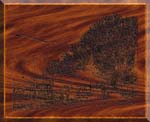 Woodburning barn
