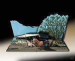 Pop-up Book