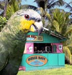 Parrot & Shop