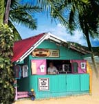 Elements of Danger Store