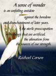 Carson quote